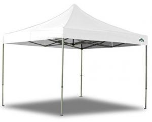 Caravan Canopy 10 X 10 Foot Straight Leg