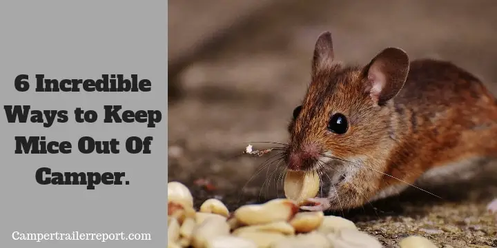 6 Incredible Ways to Keep Mice Out Of Camper.