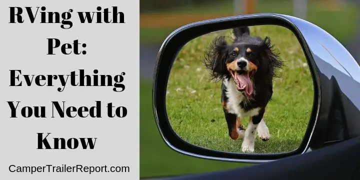 RVing with Pet. Everything You Need to Know
