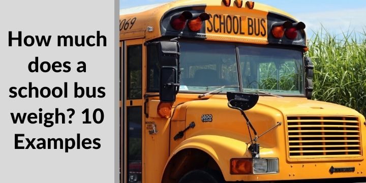 How much does a school bus weigh? 10 Examples 