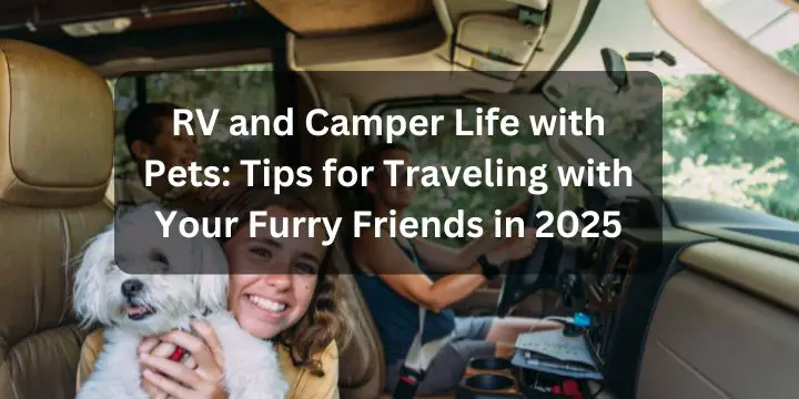 RV and Camper Life with Pets: Tips for Traveling with Your Furry Friends in 2025