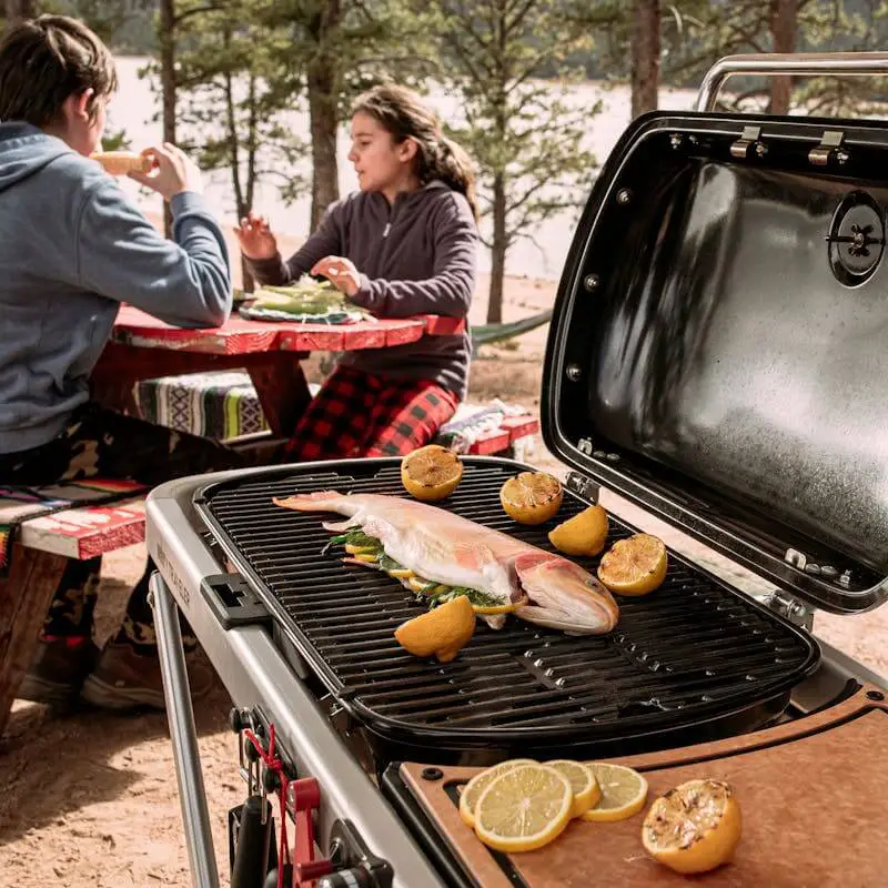 https://product-images.weber.com/traveler/Traveler_Lifestyle_Camping_1_rgb_1800x1800.jpg?auto=compress%2Cformat&h=800&w=800
